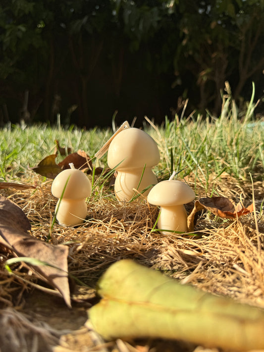 Mushroom Trio