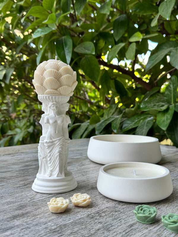 Shell Bloom